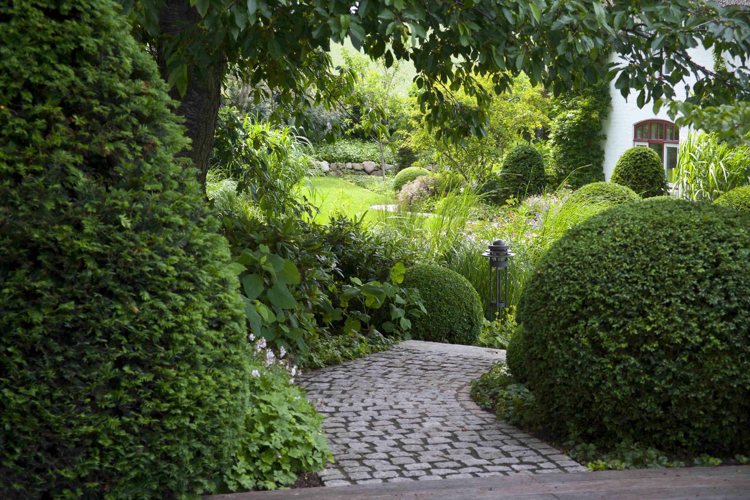 Gartenweg mit Buchsbaum und Pflanzen Ein gepflasterter Gartenweg umgeben von Buchsbäumen und verschiedenen Pflanzen.