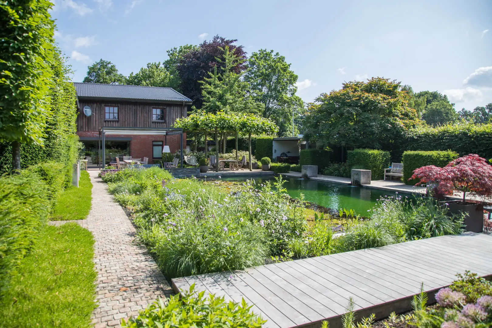 Schwimmteich mit Holzsteg und Staudenbeet in einem Gartenbereich.