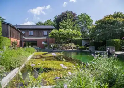 Schwimmteich mit grünen Pflanzen und Staudenbeet in einem Gartenbereich.