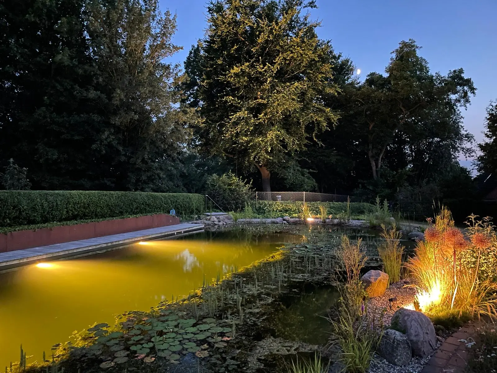 Schwimmteich am Abend mit Beleuchtung