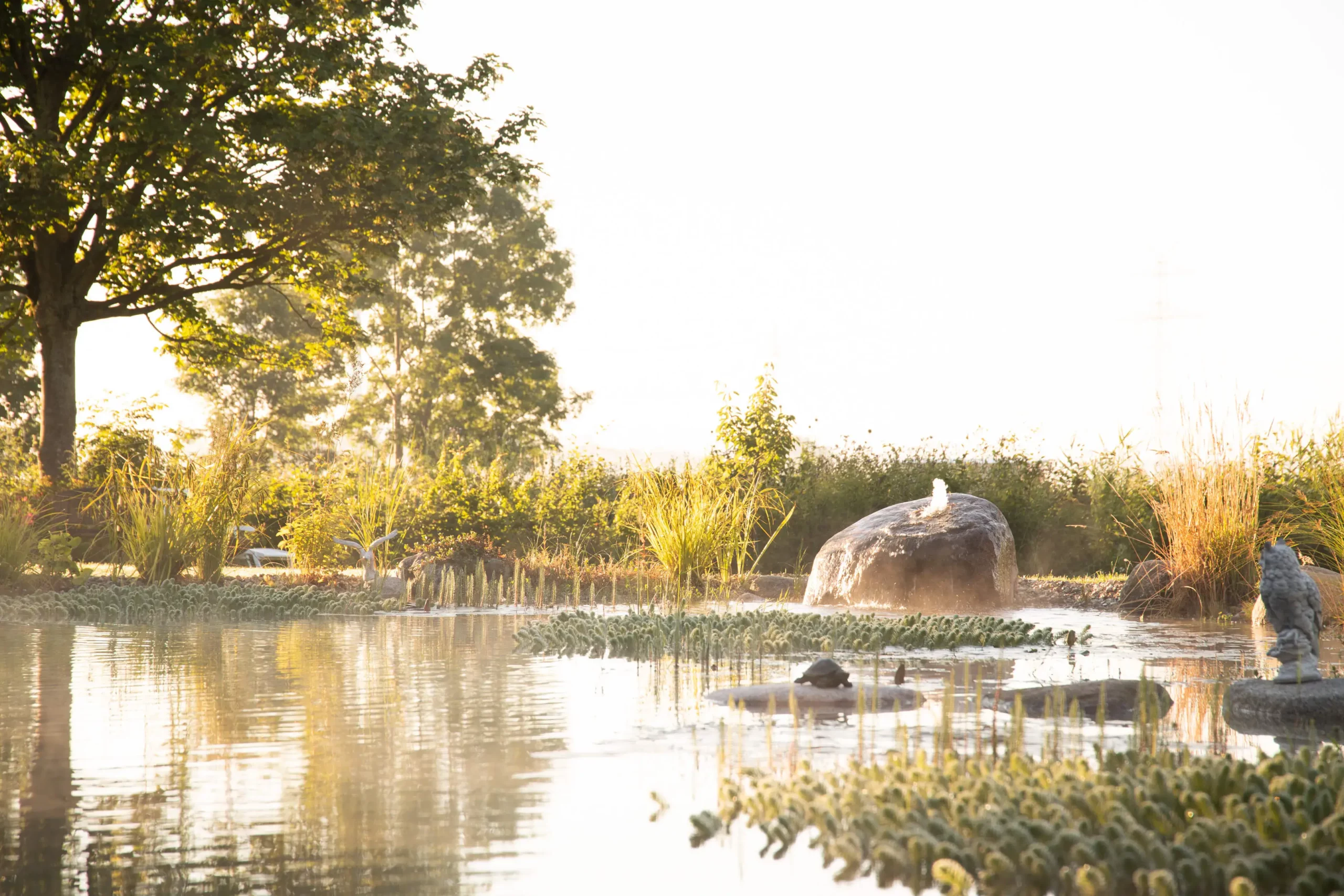 Schwimmteich mit Sprudelstein und Pflanzen Schwimmteich mit Sprudelstein und Baum