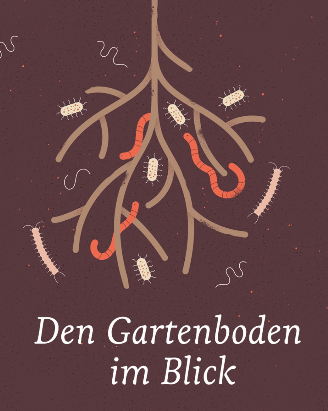 Illustration des Gartenbodens mit Bodenlebewesen Illustration von Wurzeln mit verschiedenen Bodenlebewesen wie Würmern und Insekten auf einem dunklen Hintergrund.