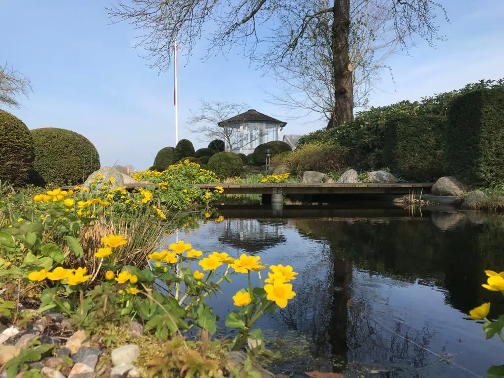Teich mit gelben Blumen im Vordergrund, umgeben von gepflegten Hecken und einem Pavillon im Hintergrund.