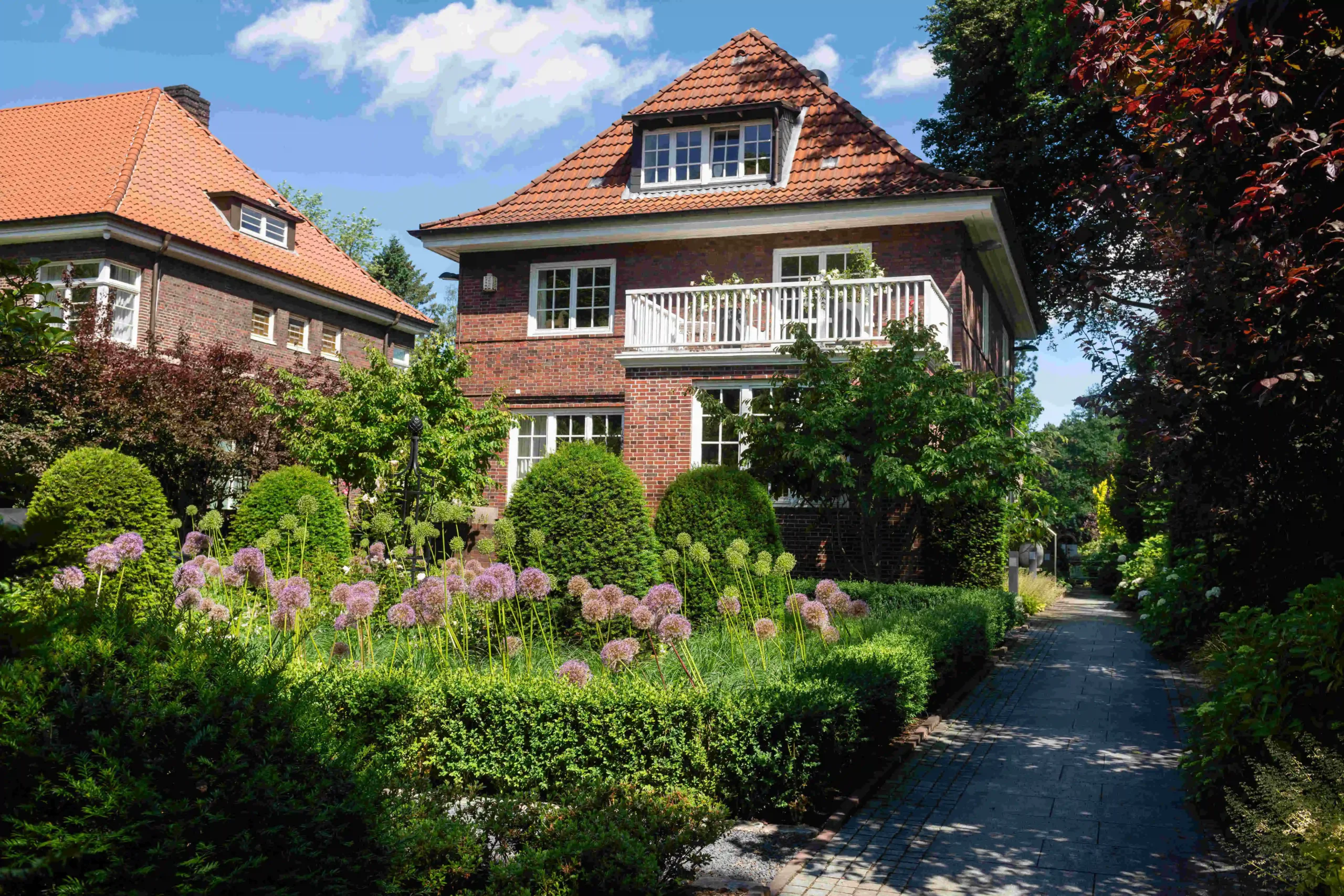 Vorgarten vor einem roten Backsteinhaus mit gekräuselten Grünflächen, rundgeschnittenen Buchsbäumen und pinken Allium-Blüten im Vordergrund; ein gepflasterter Weg führt rechts hindurch.