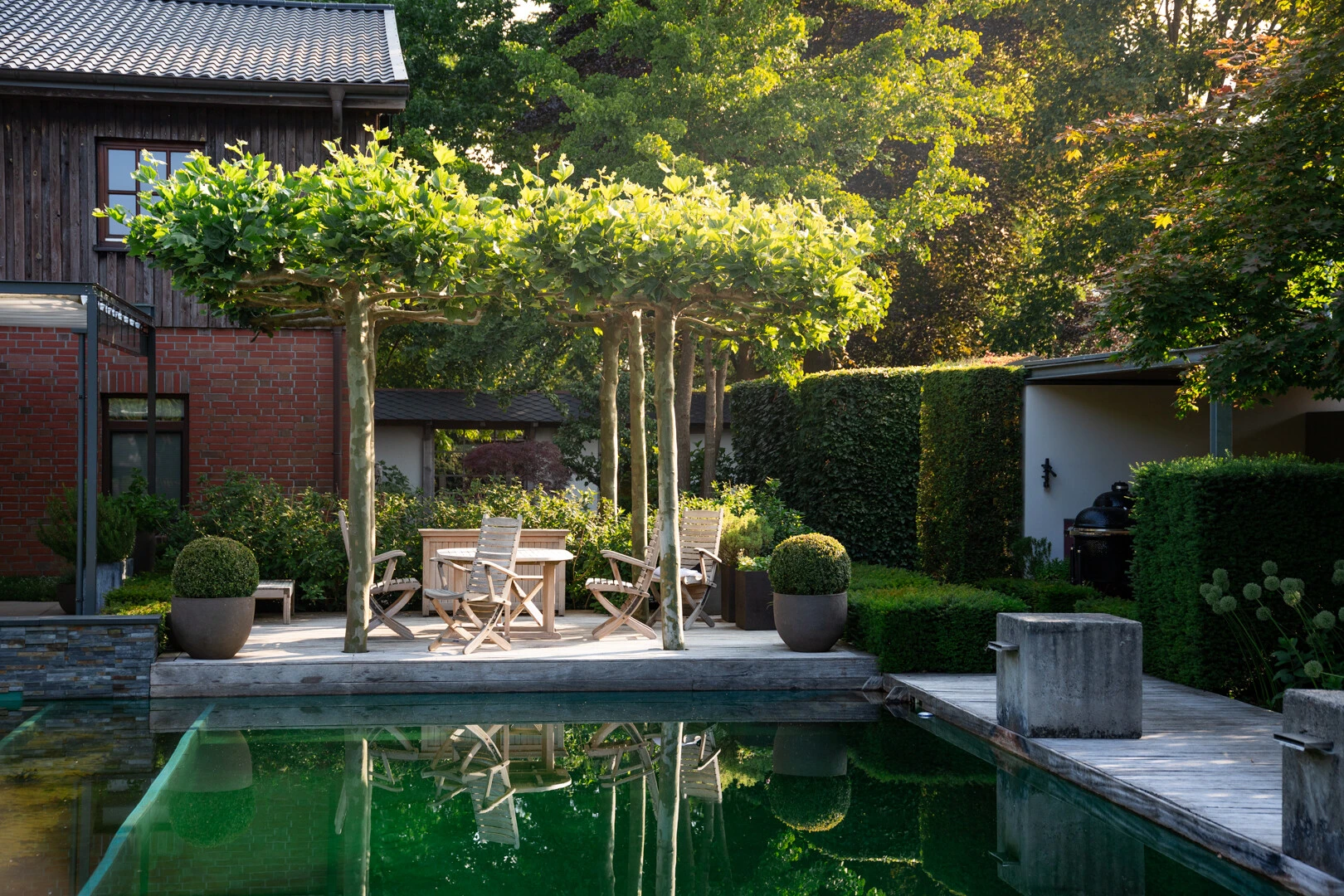 Eine elegante Gartenanlage mit geschnittenen Platanen, Holzstühlen und einem spiegelnden Schwimmteich vor Haus und dichten Hecken im warmen Licht.