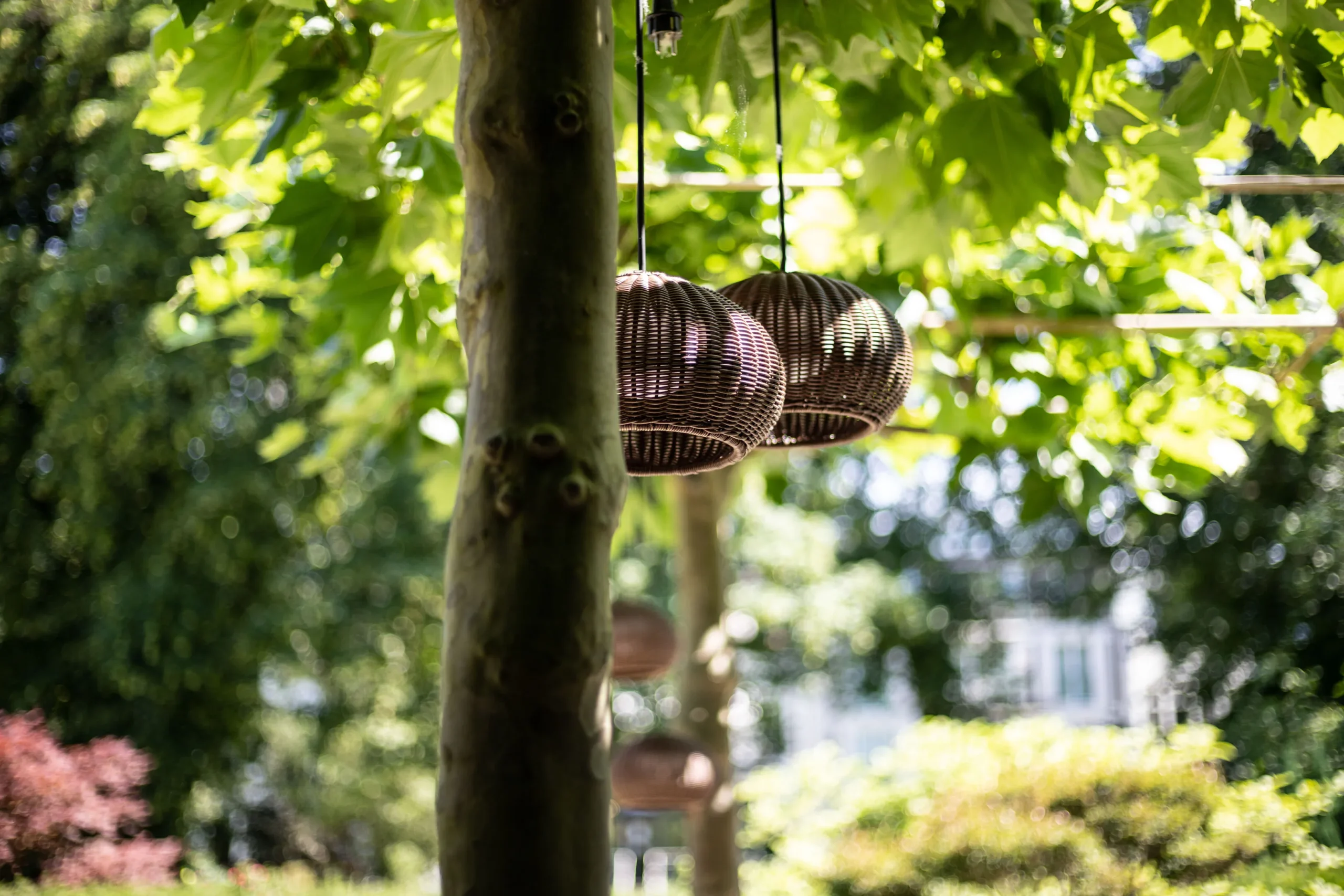 Zwischen den grünen Blättern hängen zwei runde Rattanlampen an einem Platanenstamm, während warmes Sonnenlicht den Garten weich erhellt.