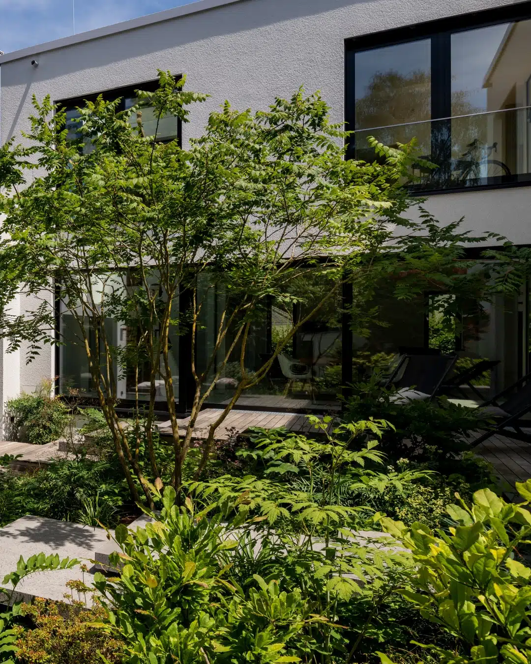 Üppig bepflanzter Garten mit mehrstämmigem Zierbaum vor einem modernen Wohnhaus mit großen Fenstern und Holzterrasse