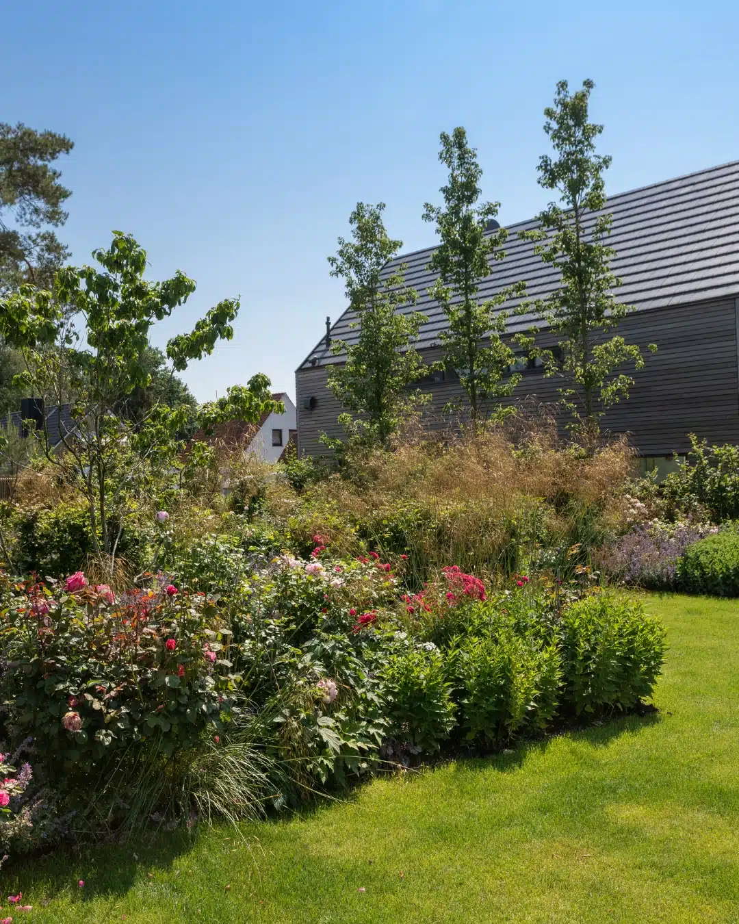Üppig bepflanzter Garten mit blühenden Rosen, Ziergräsern und Stauden vor einem modernen Haus mit dunkler Fassade.
