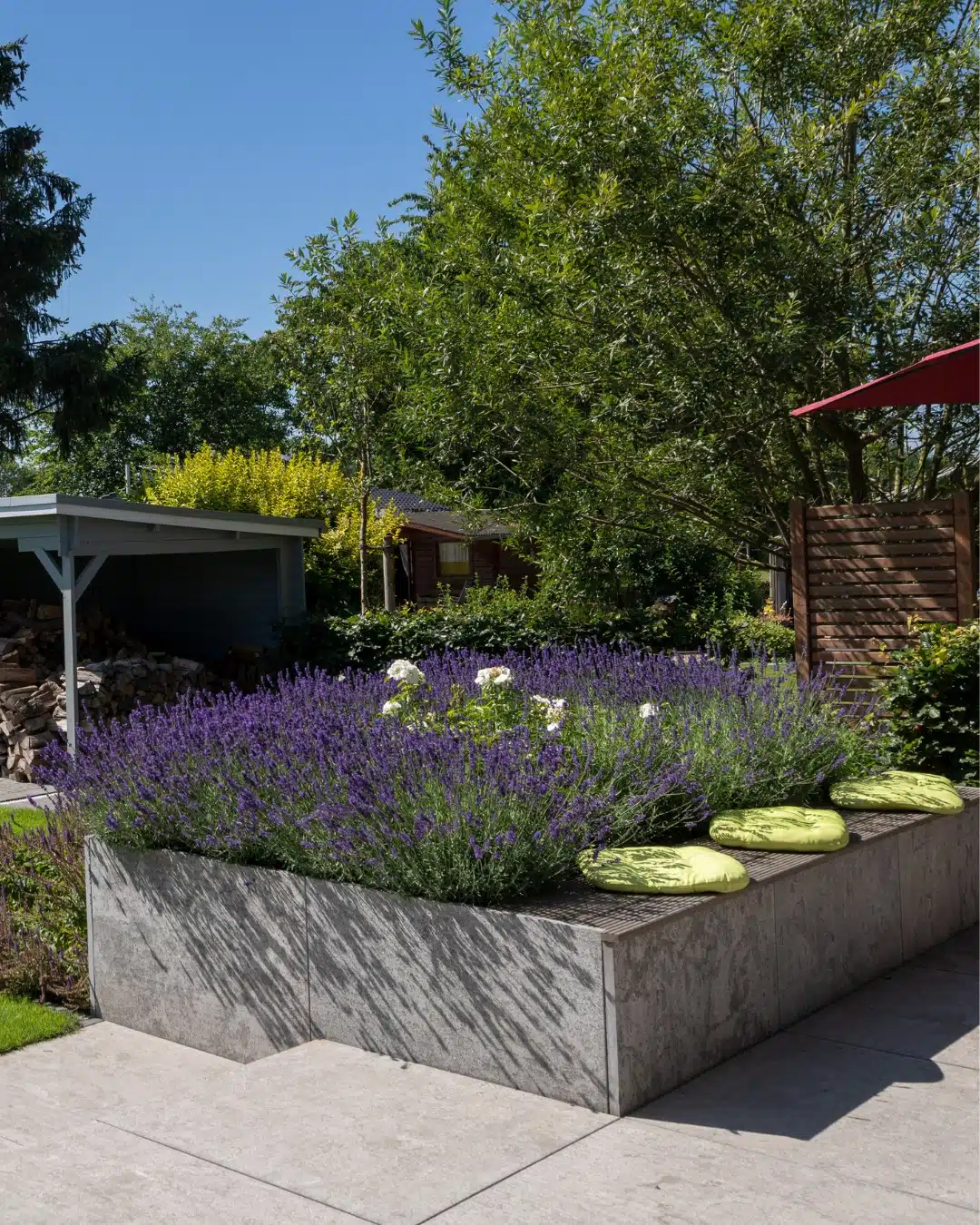 Üppiges Staudenbeet mit violett blühendem Lavendel, weißen Blüten und hellen Natursteinplatten in einem sonnigen Garten